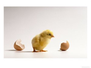 For another take on Jack T. Chick click here