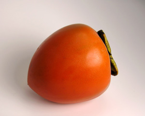 Click here for even More more persimmon info..