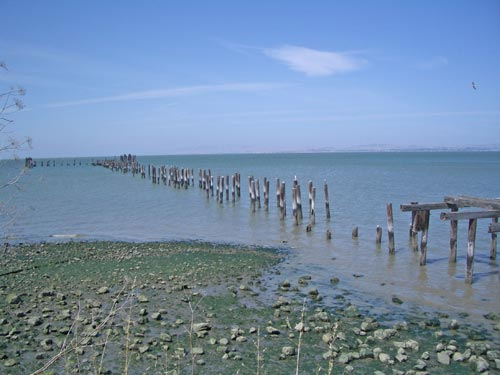 hint:  it's surrounded on three sides by the waters of San Pablo Bay...